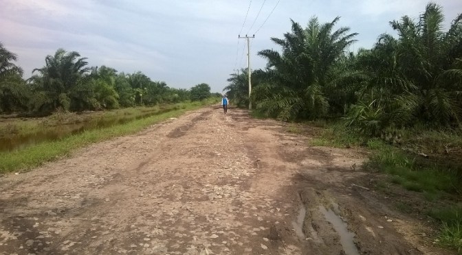 Pengerasan Jalan dengan Batu Koral, Seberang Jalan Depan Markas Kissparry Center Tenggulang Baru II, Mulai Dilaksanakan Hari Ini
