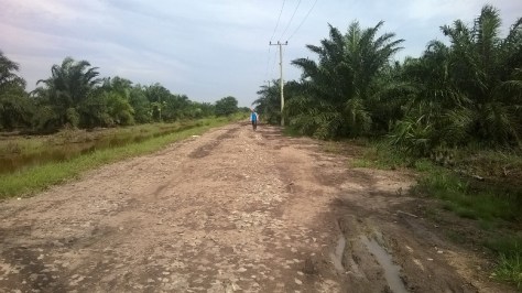 Jalan (sebagian) menuju Tenggulang Baru