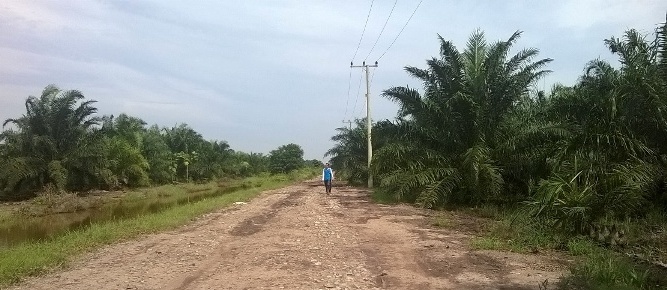 Tenggulang Baru yang Gemilang