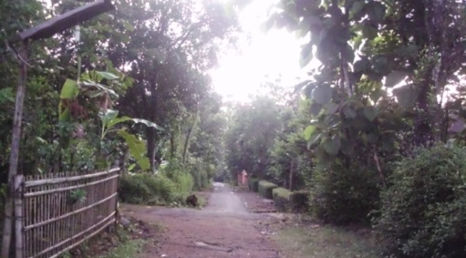 Tawangsari Desa Leluhur Kissparry