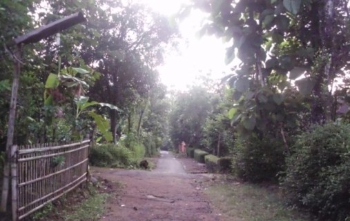 Situasi desa Ngemplak TwSari dipagi hari (2013-12-27)