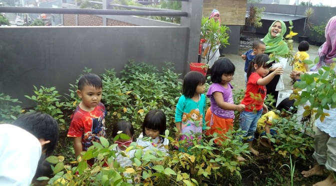 Apa itu Adversity Quotient, dan IQ, SQ, EQ, CQ, ESQ