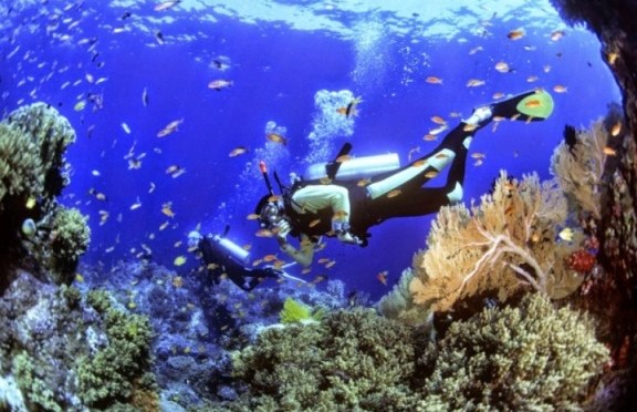Inilah Tempat Menyelam (Diving) Terbaik di Indonesia yang Diakui Dunia