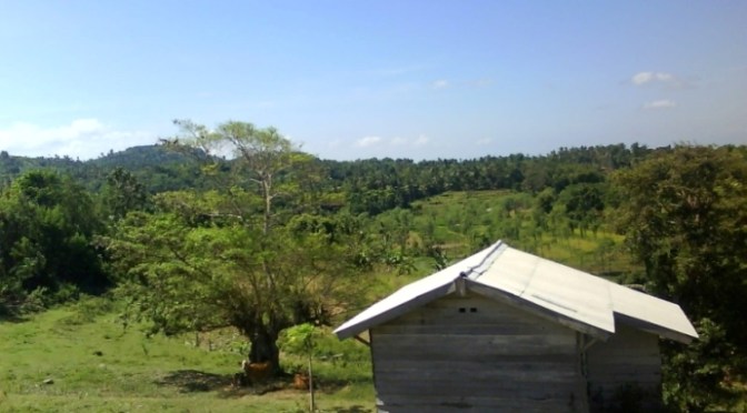 Transmigrasi Jadi Istri Duda | Bab 16 Novel