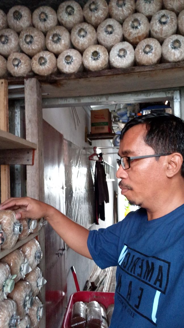 Baglog Jamur Tiram Kissparry 20180218