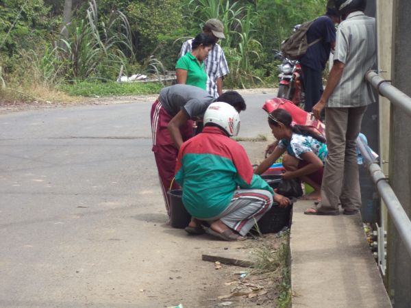 jualan dipinggir jalan