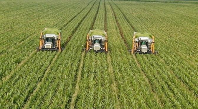 Optimalisasi Lahan di China