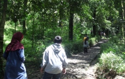 Sebagian jalan yang dilalui di Grojogan Sewu