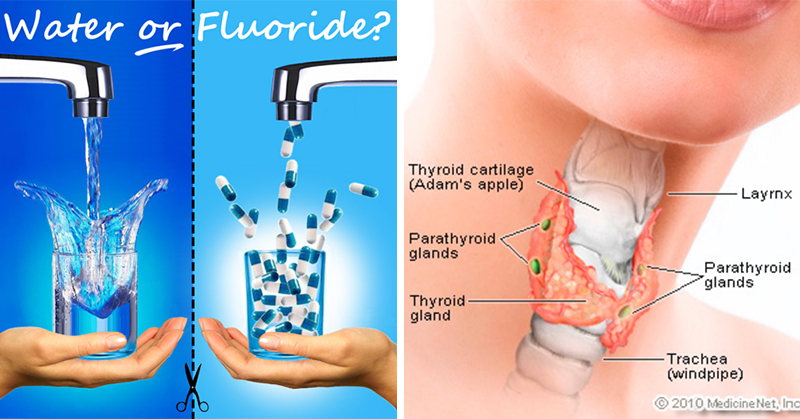 fluoridewater