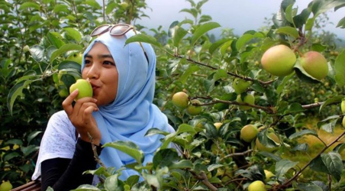 Manfaat Makan Buah di Saat Perut Kosong