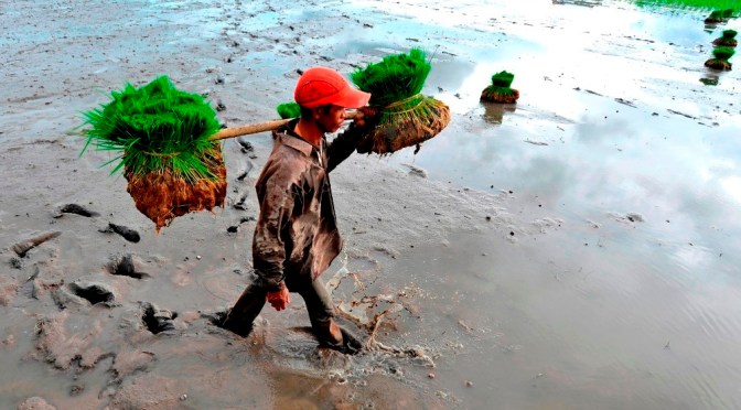 Lagu Bagawe, Daerah Musi Banyuasin