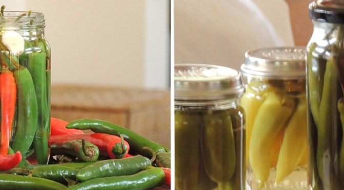 Pickle, Makanan yang Diawetkan Bisa Tahan Lama
