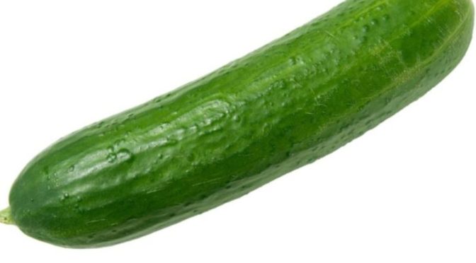 5 Manfaat Mentimun yang Luar Biasa