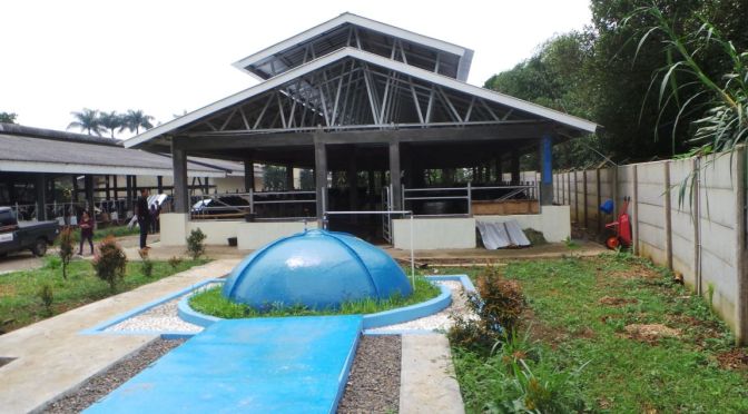 Energi Alternatif Biogas Ramah Lingkungan
