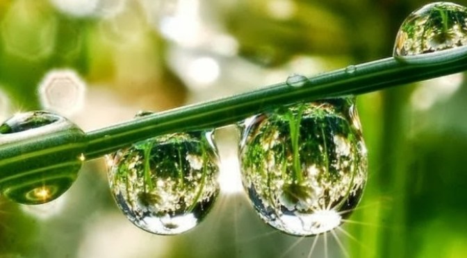 Ayo Memahami dan Menata Hidup untuk yang Lebih Benar