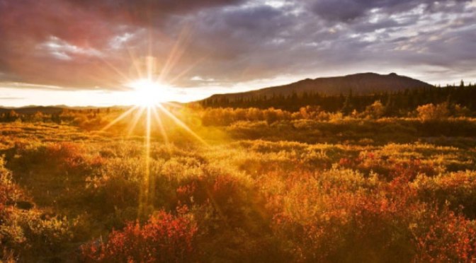 Siapa yang Tidak Pernah Merasa Miskin