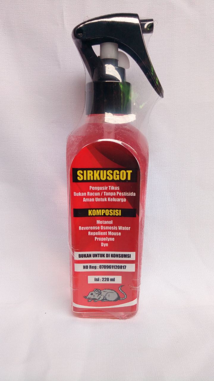 WhatsApp Image 2017-11-28 at 12.49.51