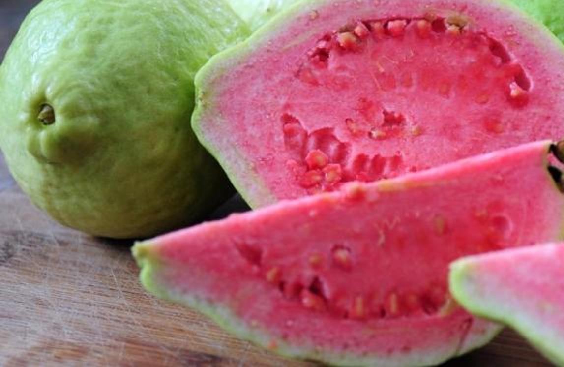 021677100_1447671777-8_Jambubiji_adrianopetrich_com