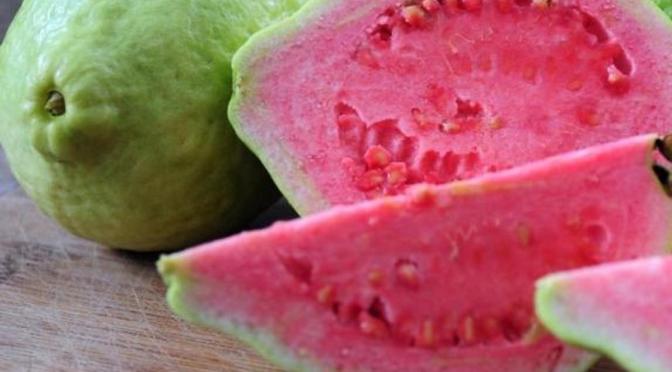 15 Manfaat Jambu Biji bagi Kesehatan yang Mudah Didapatkan