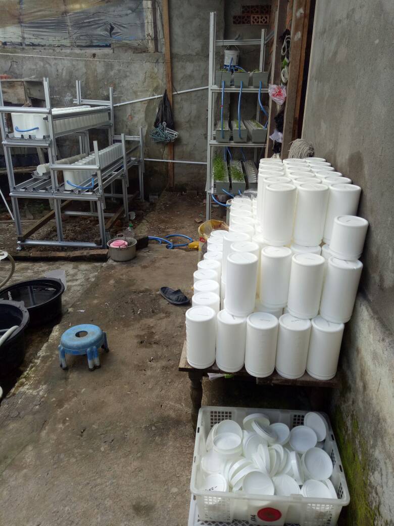 WhatsApp Image 2017-06-10 at 11.17.14