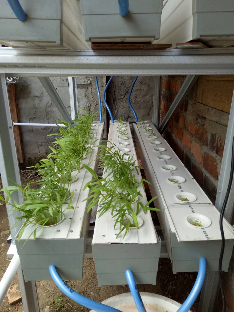 WhatsApp Image 2017-06-10 at 12.17.56