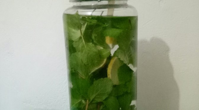 Manfaat Infuse Water Daun Mint