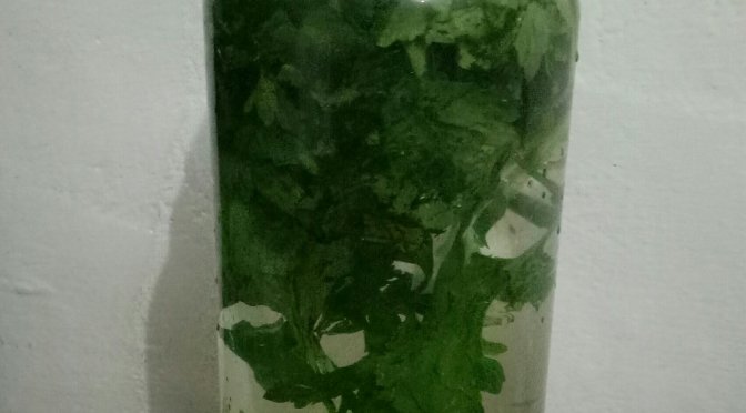 Infuse Water Seledri, Kaya Manfaat