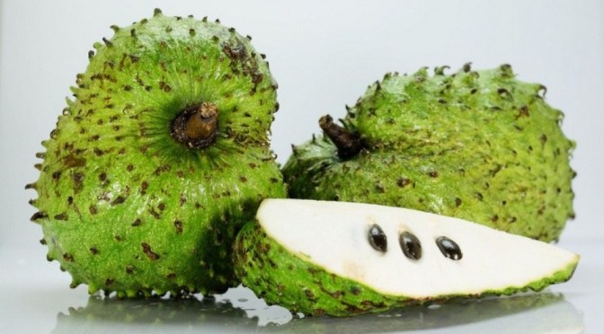 9+ Manfaat Sirsak (Sersat, Nangka Sabrang, Durian Betawi, Srikaya Belanda) bagi Kesehatan