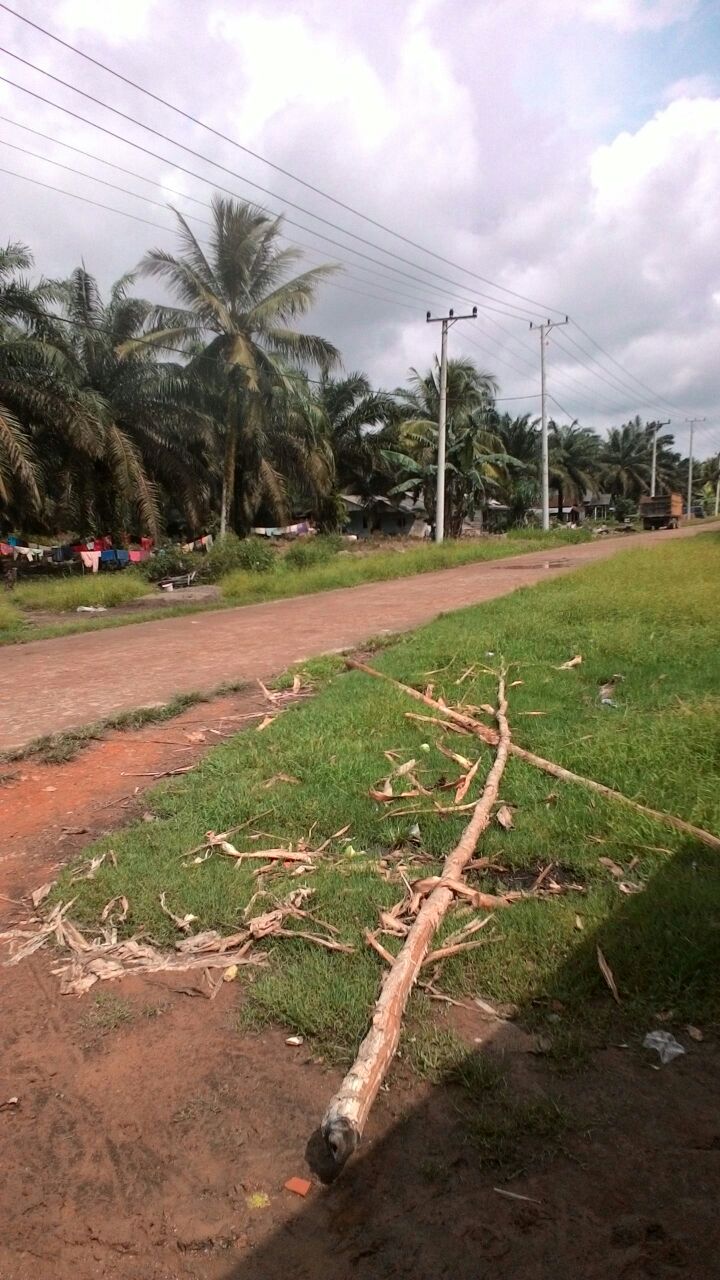 Jalan poros SP5 dok Kissparry (02-01-2018)