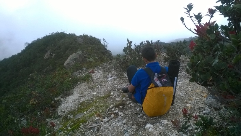 aIstirahat_WP_20150204_004