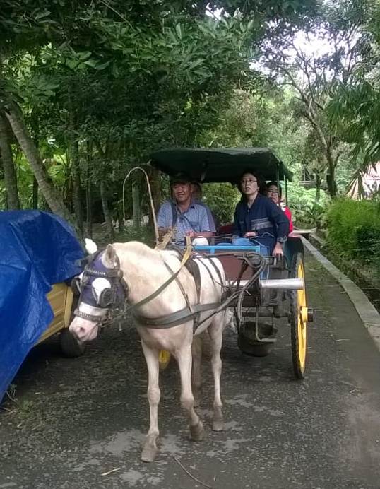 Dokar_Borobudur_20180215