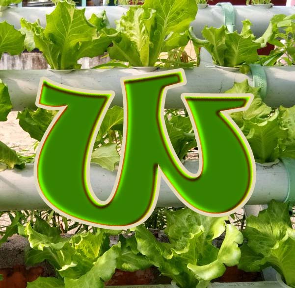 Logo Wildan Hidroponik copy