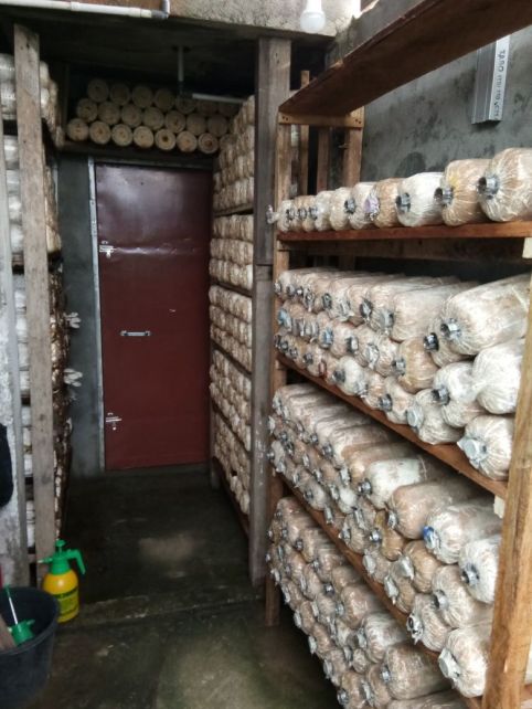 Penambahan stok produksi 20180304 at 170538