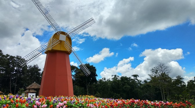 Kisah Seorang Anak Membagi Buku Jalan Menuju Surga di Amsterdam Belanda