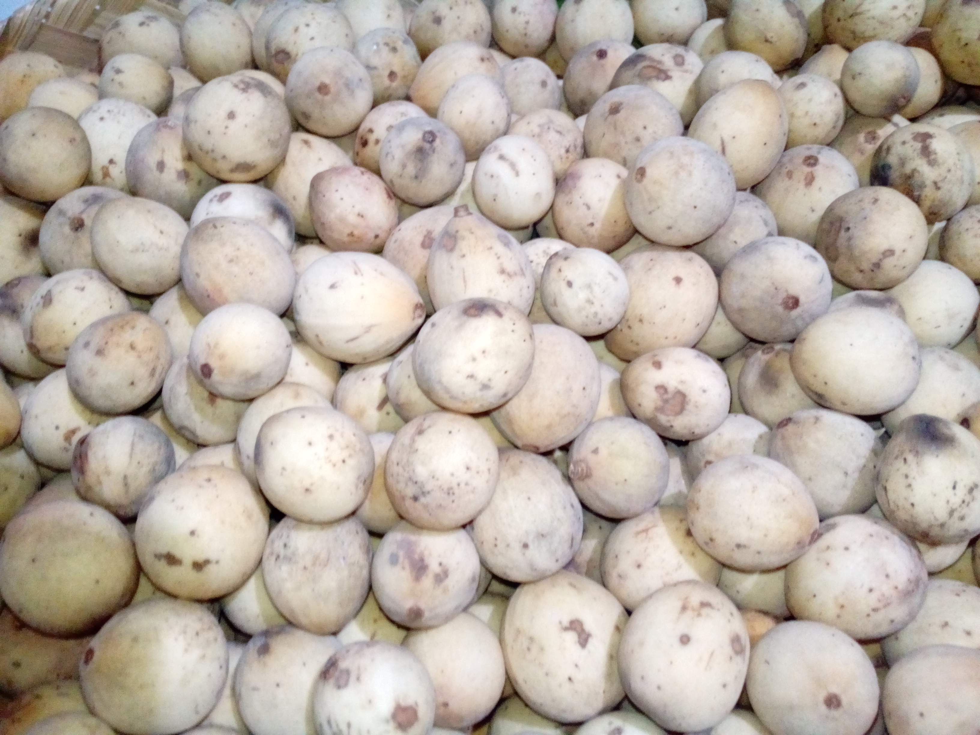 Duku Kualitas Super Kalikajar IMG_20180305_214040