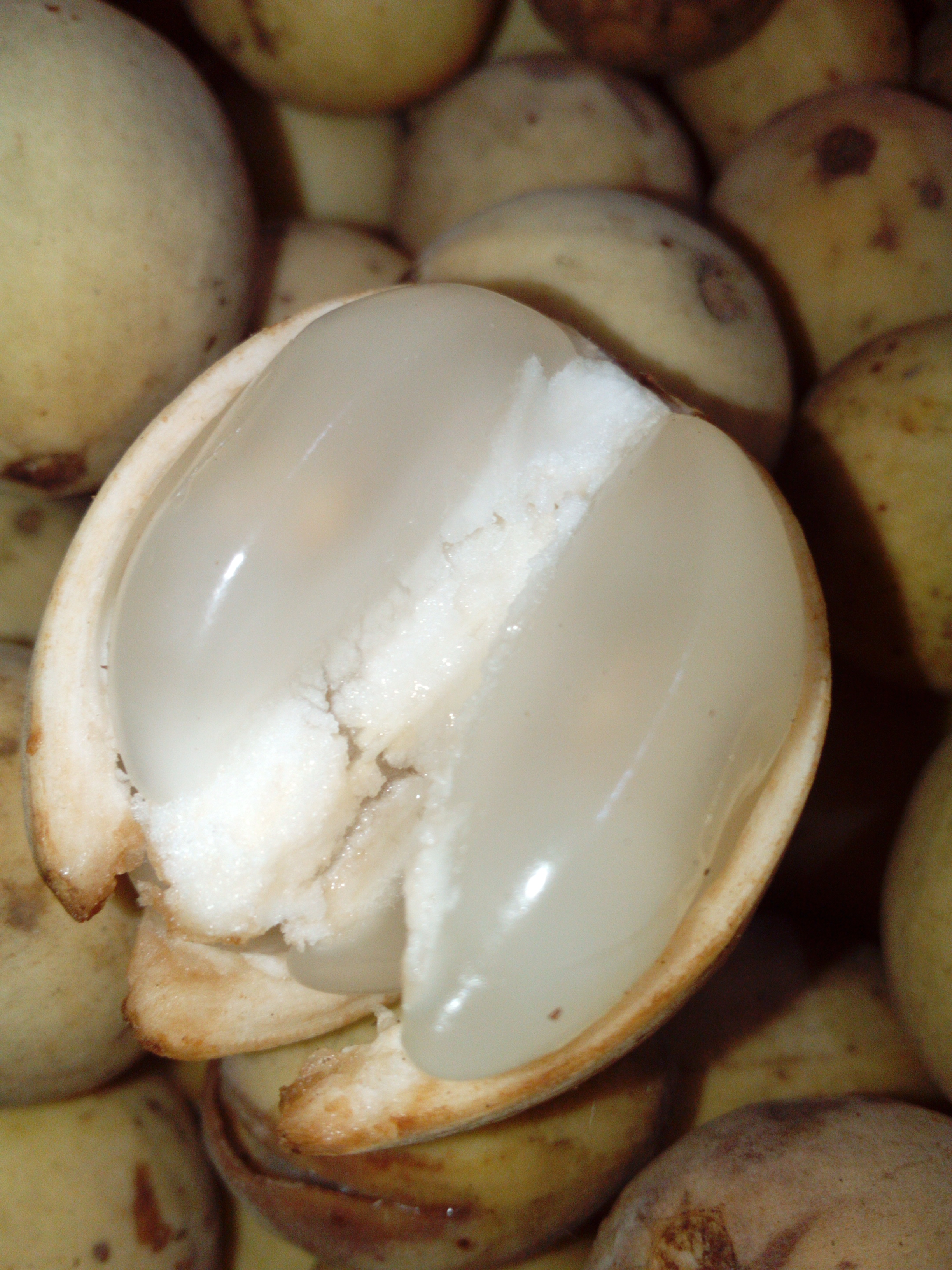 Duku Super Kalikajar img_20180305_220058.jpg