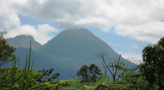 Kisah dari UPT Lhok Gadong Pidie Jaya, Aceh, Harga Cabe Murah 6.000