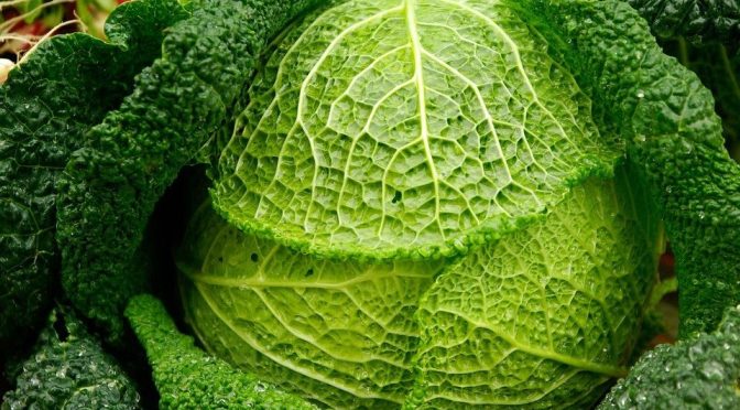 Inilah Penjelasan Ringkas Gagal Ginjal dan Alternatif Solusi Cara Mengatasinya | Berserta Penjelasannya yang Anda Tunggu