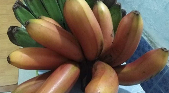 Makanan Tinggi Kalium, Penderita Gagal Ginjal Harus Membatasi Ini