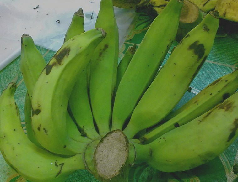 pisang nangka