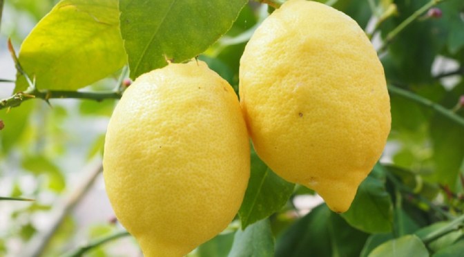 Inilah Cara Memutihkan Kulit secara Alami, Mudah dan Murah