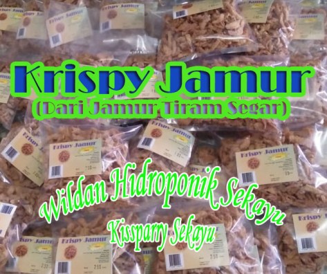 Krispy Jamur siap kirim WHS Kissparry