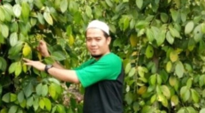 Lada Putih Bangka (Muntok White Pepper) yang Mendunia