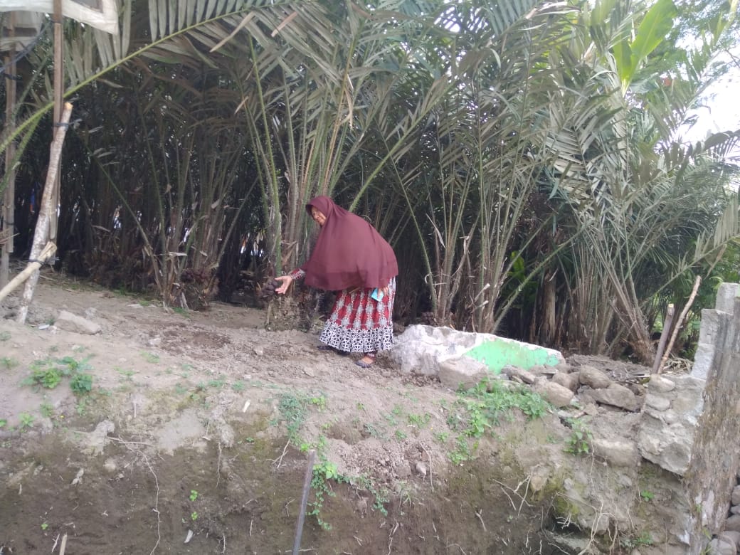 a_petik_salak_pondoh_20180715 at 102427