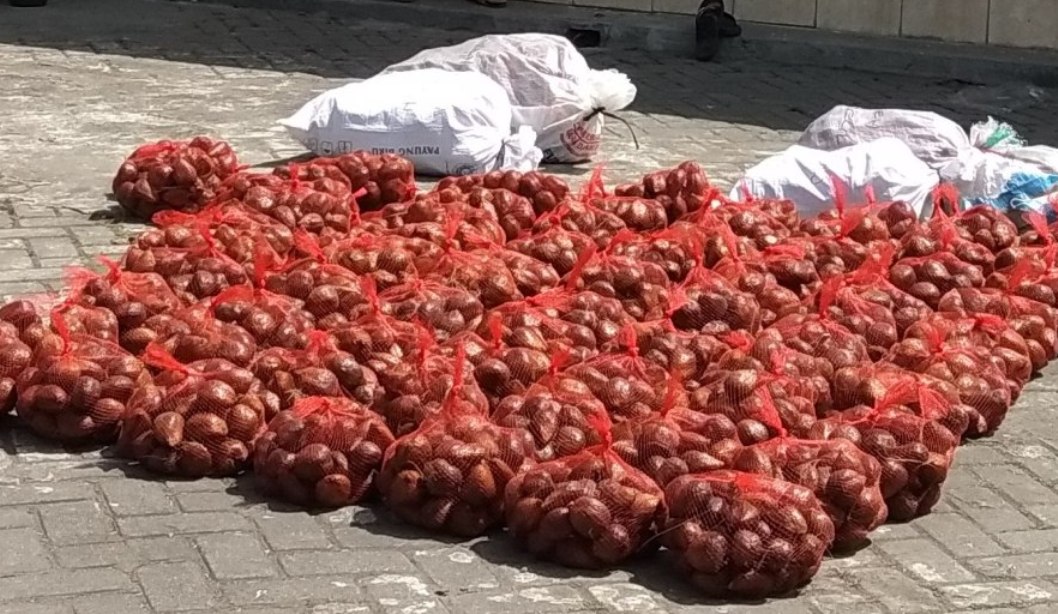 a_Salak_pondoh_IMG_20180715_115634