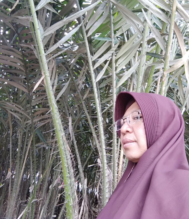 a_Salak_Sleman_IMG_20180715_113525