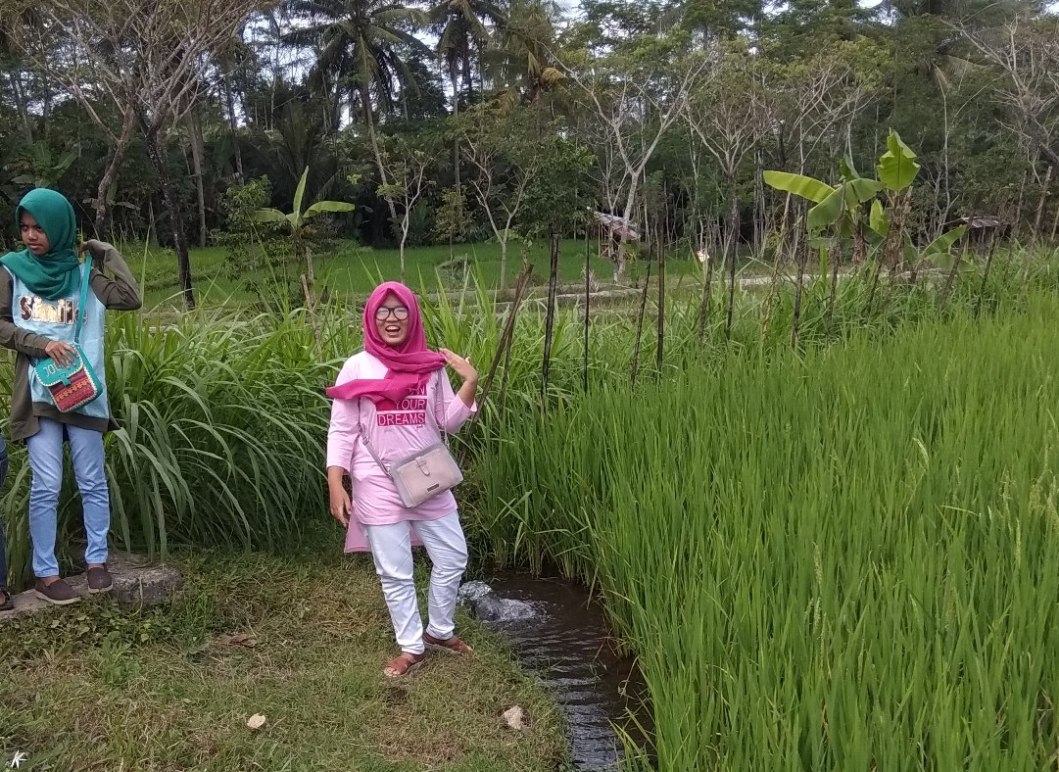 aSawah_parit_Sleman_IMG_20180715_113252