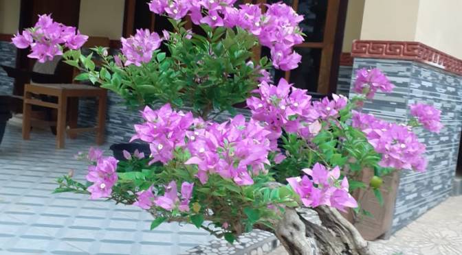 Serat Kodrat Lan Pituture Simbah (Jawa), sebuah Renungan dan Muhasabah