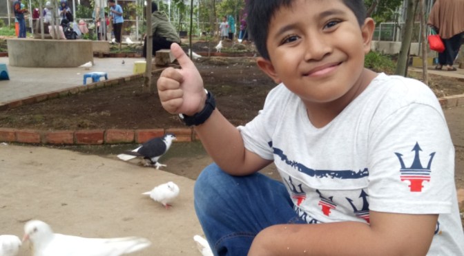 Chanel Youtube Wildan Kissparry Jr