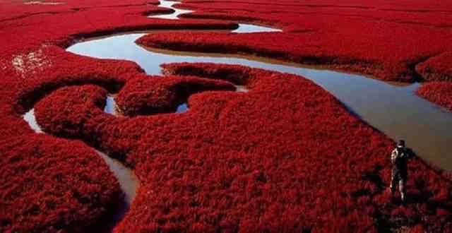 the-red-beach-delta-sungai-51bfef3bda775_51bfef3bdc1d1